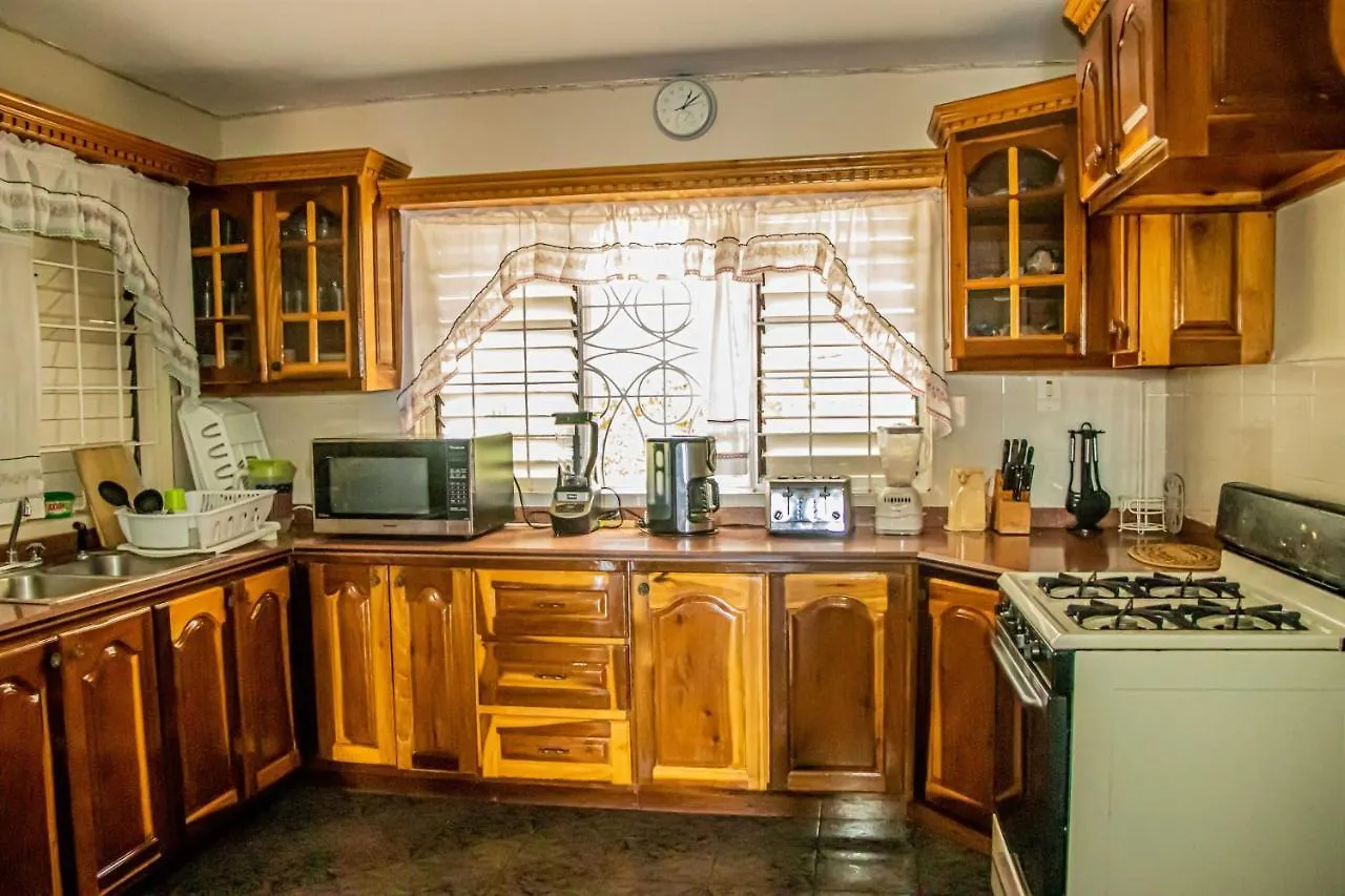 The Whyte House Villa 蒙特哥贝 牙买加