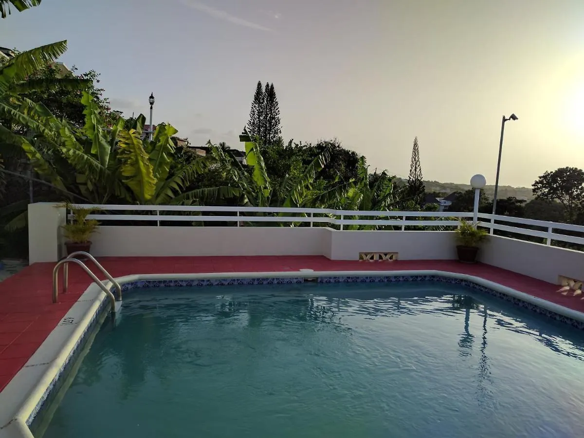 The Whyte House Villa 蒙特哥贝